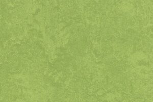 Натуральний лінолеум Forbo Marmoleum Sport (рулон)