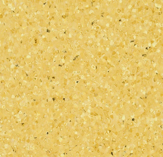 50528 sunlight