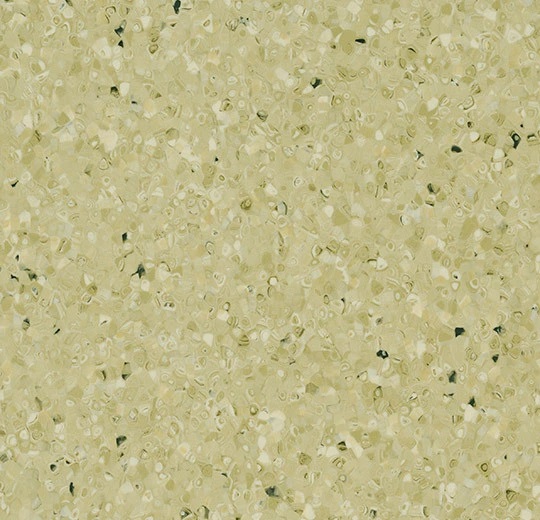 50529 pale green