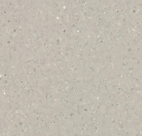 50484 coquina