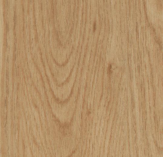 60065EA7 honey elegant oak