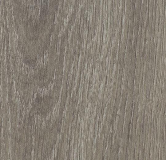 60280EA7 grey giant oak