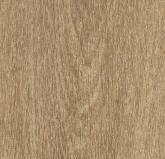 60284EA7 natural giant oak