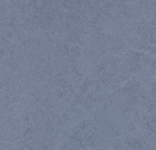 68752 cornflower