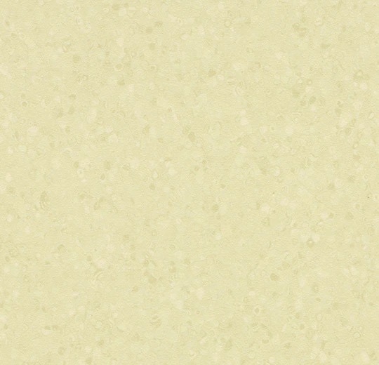 50063 white moss