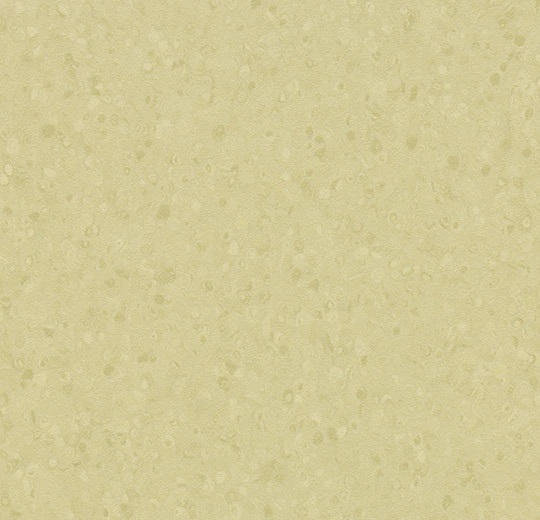 50064 light moss