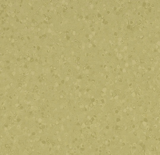 50065 moss