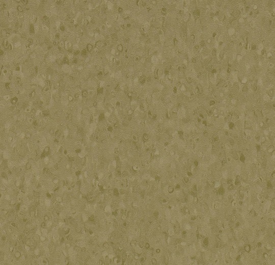 50069 dark moss