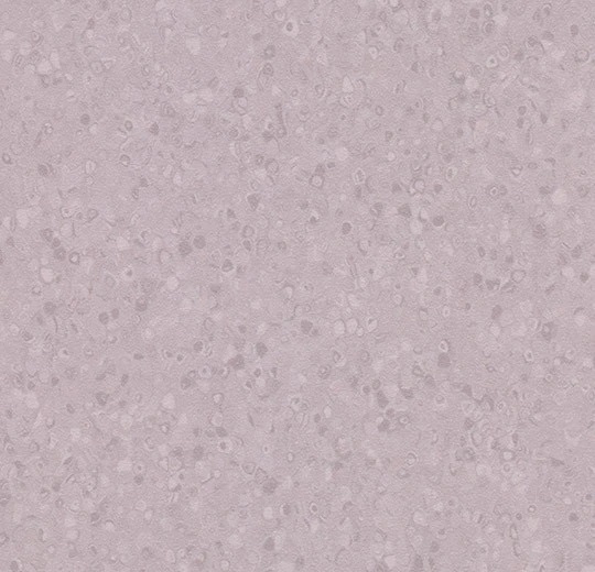 50070 soft violet