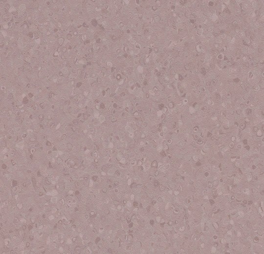 50071 violet