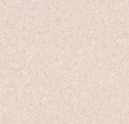 50072 light peach