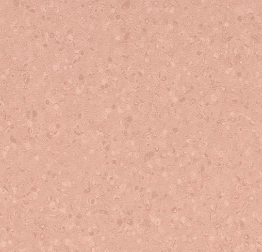50073 peach