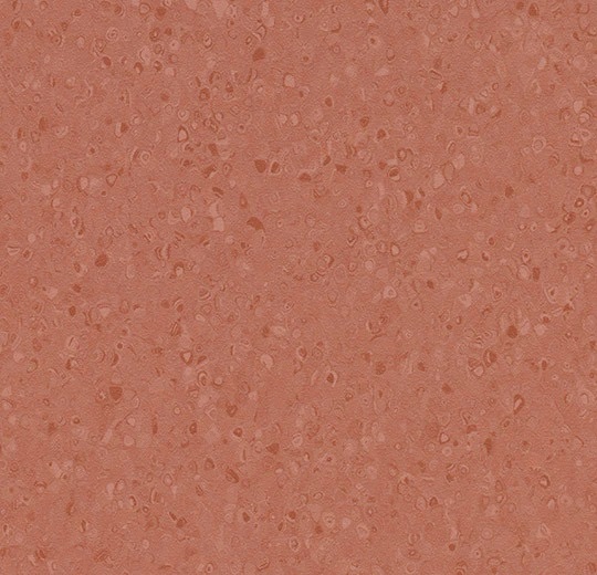 50075 hibiscus