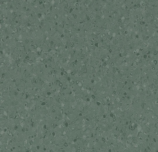 50078 dark kelp