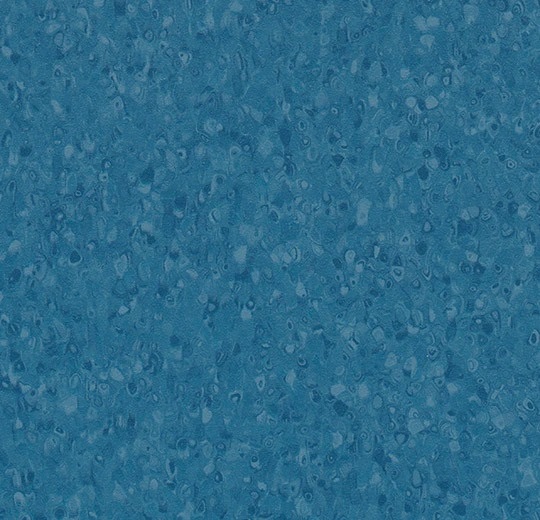 50081 ocean
