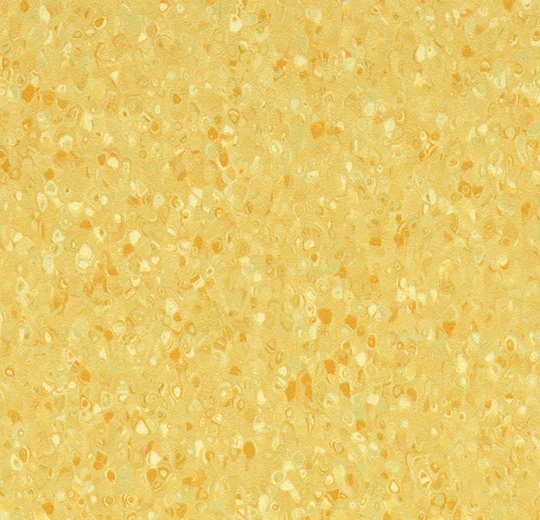 51054 Contrast amber