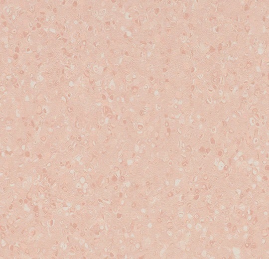 51073 Contrast peach