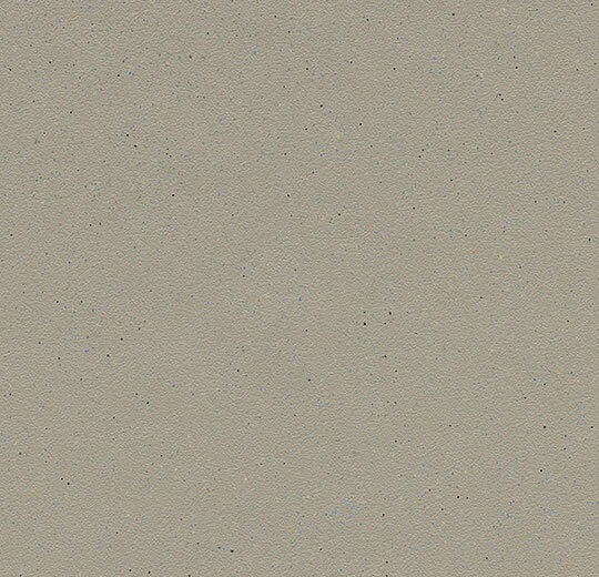 173232 fossil