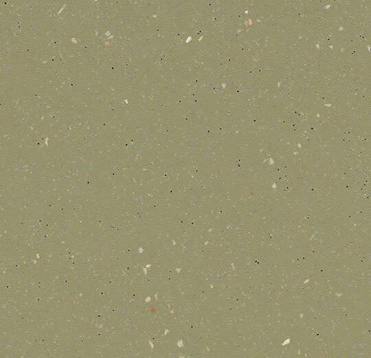 174542 moss
