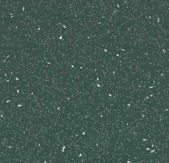 172072 dark kelp