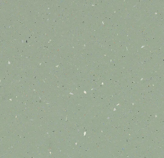 172192 light kelp
