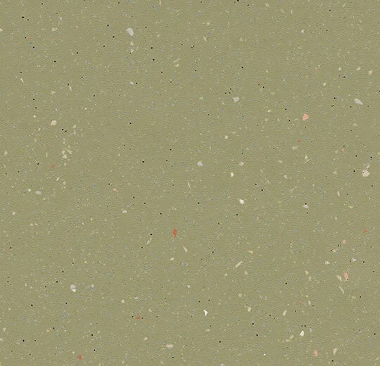 172542 moss