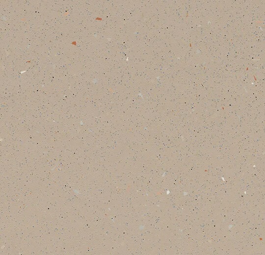 172842 salmon